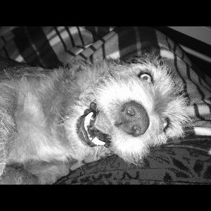 Meet your Posher, Gerarda